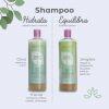 Shampoo nutritivo para cuero cabelludo graso de Soffi Organic - Imagen 2