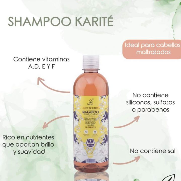 Shampoo sin sal con aceite de karité Ecoterra