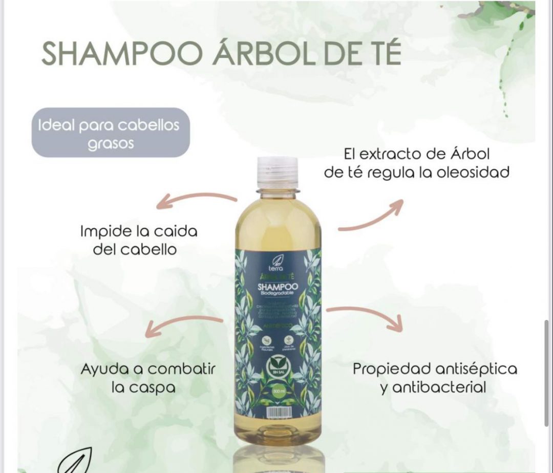 Shampoo sin sal con árbol de té Ecoterra