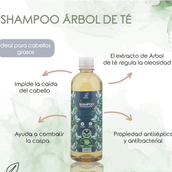 Shampoo sin sal con árbol de té Ecoterra