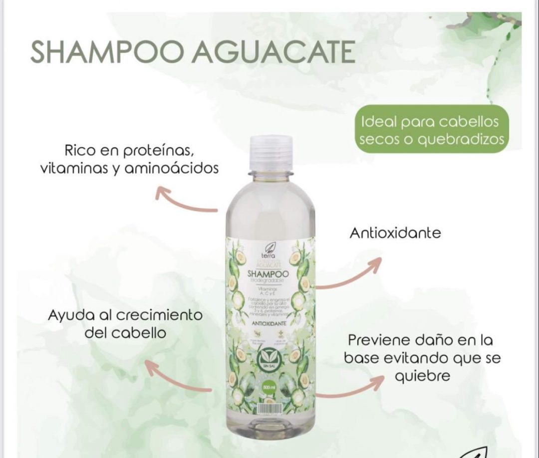 Shampoo sin sal con extracto de aguacate Ecoterra