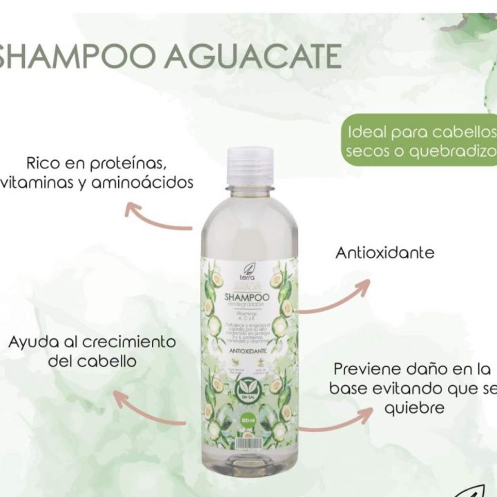 Shampoo sin sal con extracto de aguacate Ecoterra