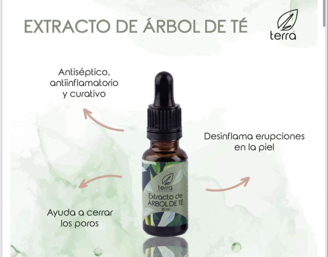 Extracto de árbol de té Ecoterra