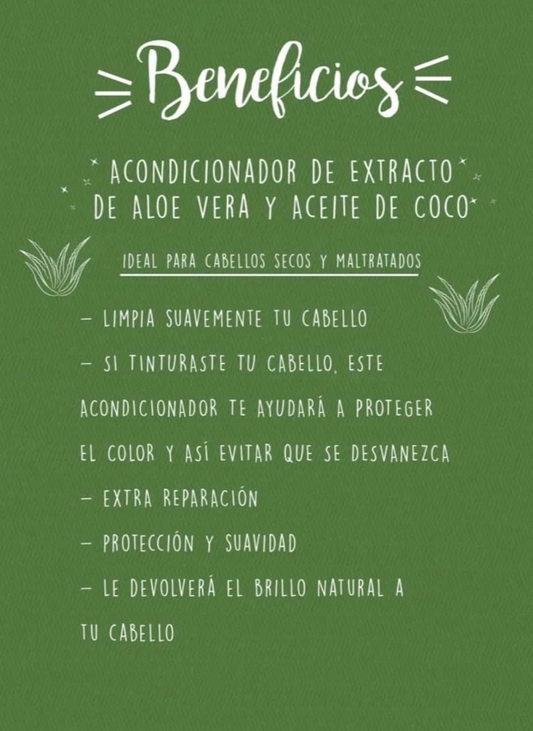 Acondicionador sólidode Extracto de Aloe Vera y Aceite de Coco - Imagen 2