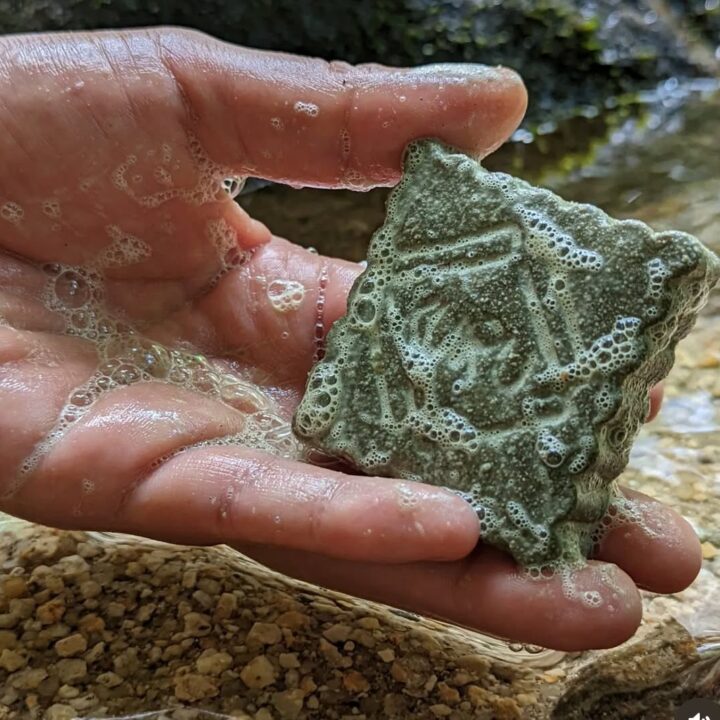 Shampoo sólido Kuru